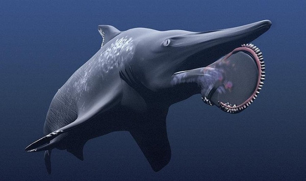 Picture 8 of The fiends in the shark world