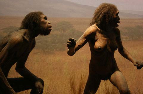 Picture 2 of The findings identify human origin