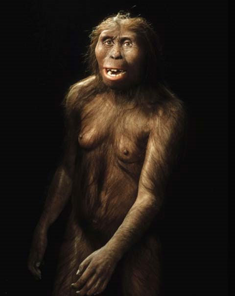 Picture 5 of The findings identify human origin
