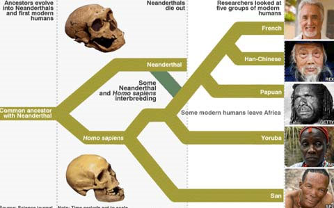 Picture 8 of The findings identify human origin