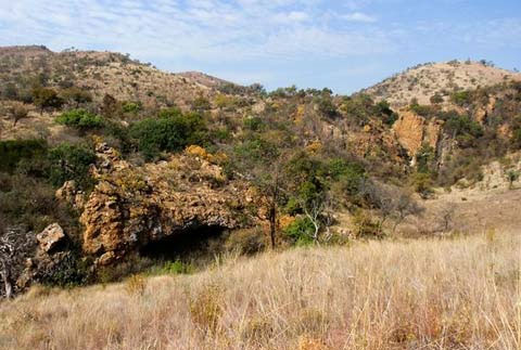 Picture 9 of The findings identify human origin
