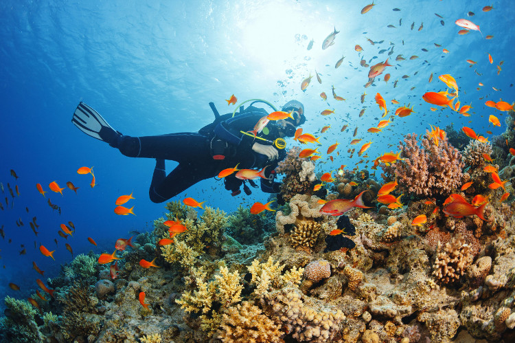 Picture 2 of The first 3D map sheet redraws the entire ocean on Earth