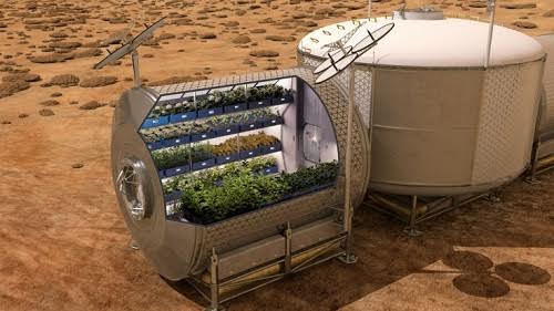 Picture 2 of The first astronaut to eat long leaf red lettuce grown on the universe