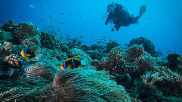 the-first-country-banned-sunscreen-to-protect-corals