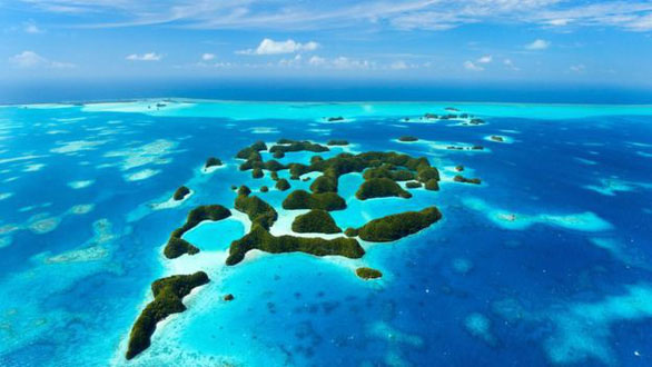 Picture 3 of The first country banned sunscreen to protect corals