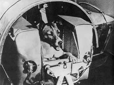 Picture 7 of The first half-century satellite of humankind