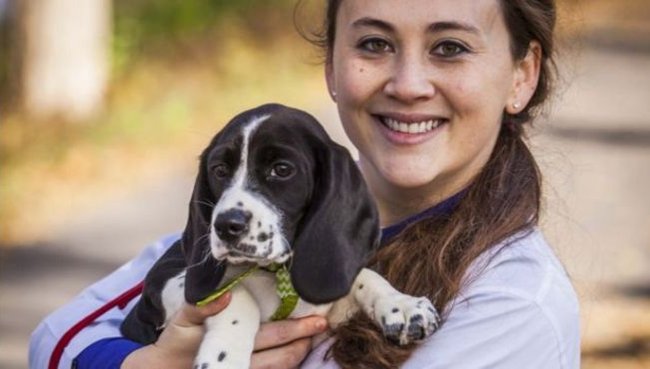 Picture 1 of The first puppies were born from IVF