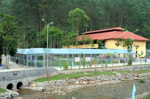 Picture 1 of The first semi-wild area for bears in Vietnam