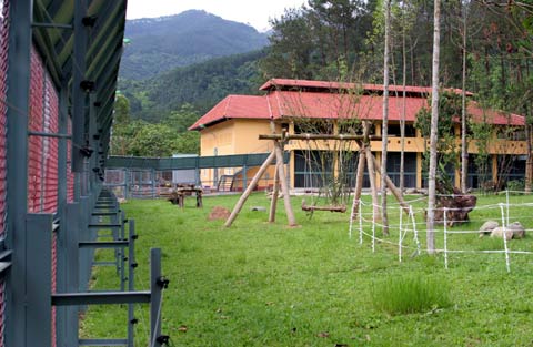 Picture 2 of The first semi-wild area for bears in Vietnam