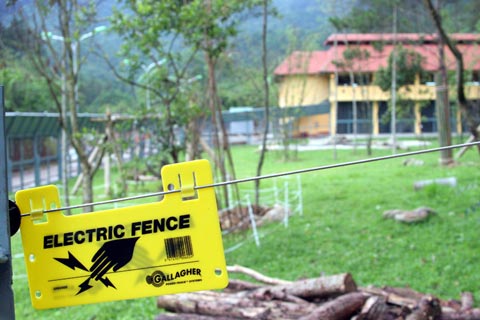 Picture 5 of The first semi-wild area for bears in Vietnam