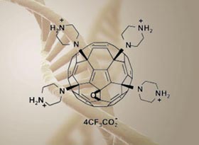 Picture 1 of The first time proving that C60 can carry genes