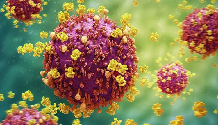 Picture 1 of The first vaccine will soon be developed by AI in the world
