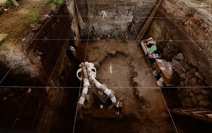 Picture 2 of The five-year-old fossil mammoth fossil weighs 10 tons in Mexico