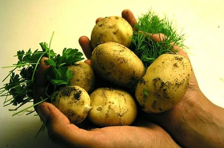 Picture 4 of The food experts will avoid using