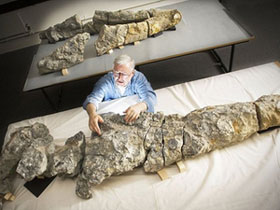 The food of the ancient reptile is an insect images 1