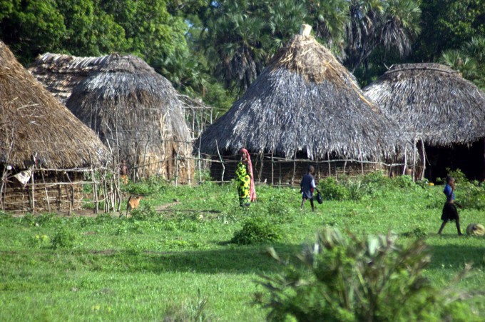 Picture 2 of The forests of Kaya of Mijikenda people
