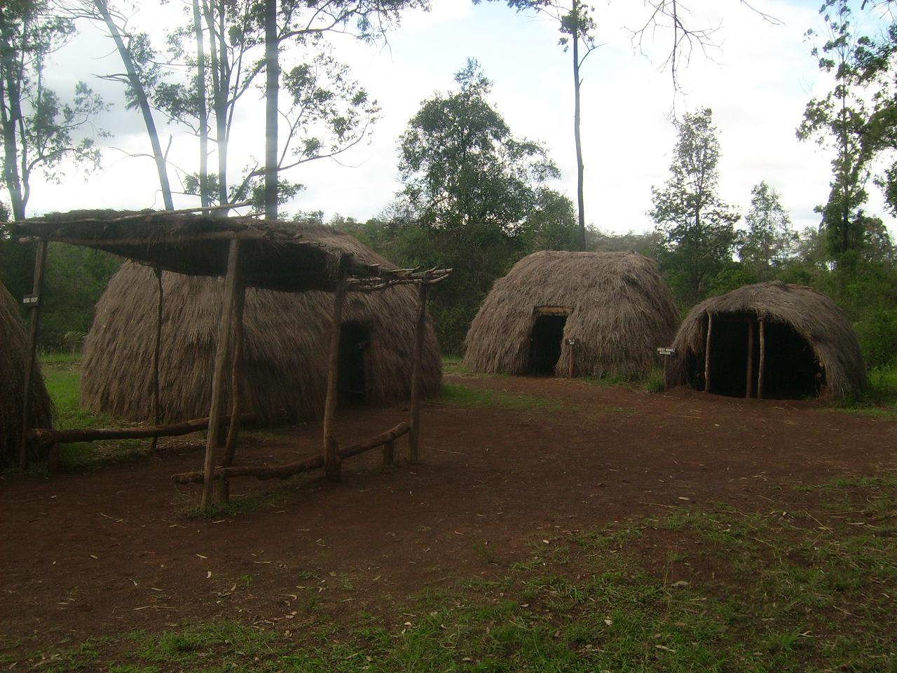 Picture 3 of The forests of Kaya of Mijikenda people