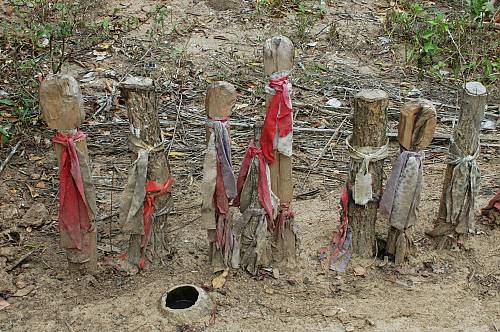 Picture 7 of The forests of Kaya of Mijikenda people