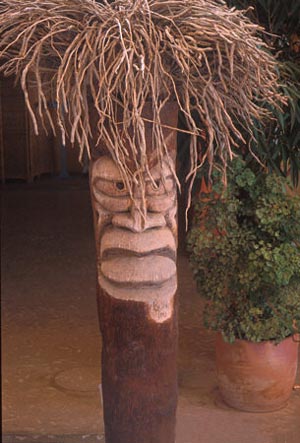 Picture 7 of The fun of plants