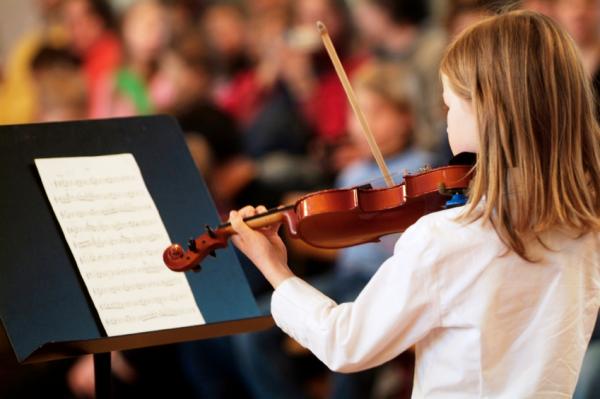 Picture 1 of The genetic basis of musical orientation: the neurobiology of music is related to the behavior associated with instinct
