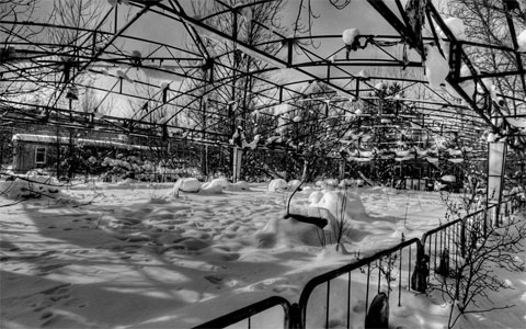 Picture 10 of The ghost town near Chernobyl