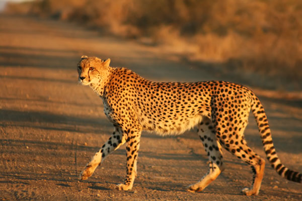 Picture 10 of The ghosts speed in the wild world