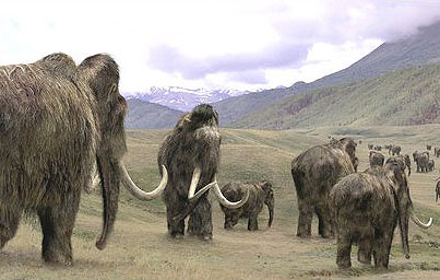 Picture 2 of The giant lion once wandered across Europe