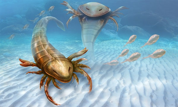 Picture 1 of The giant marine scorpion once raged under the ocean