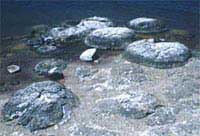 Picture 2 of The giant stone beach or God's toy garden?