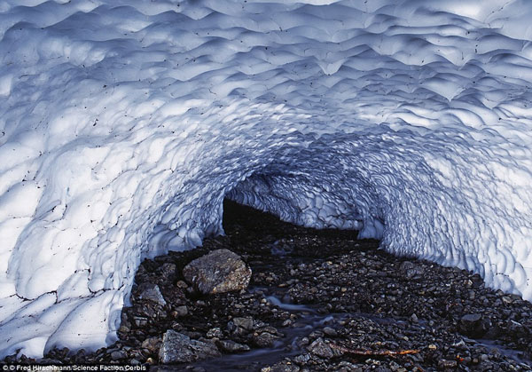 Picture 7 of The glacial ice is under the river in Alaska