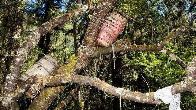 Picture 2 of The goal is that few people know of burial on trees