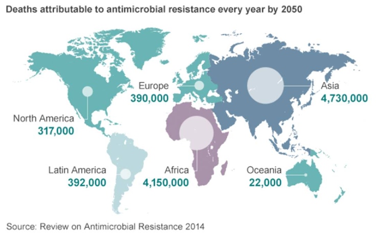 Picture 4 of The golden age of antibiotics is over, the immediate future will be a nightmare for humans