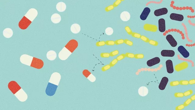 Picture 7 of The golden age of antibiotics is over, the immediate future will be a nightmare for humans