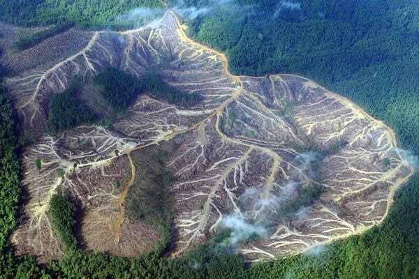 Picture 6 of The great catastrophes can cause mankind to perish
