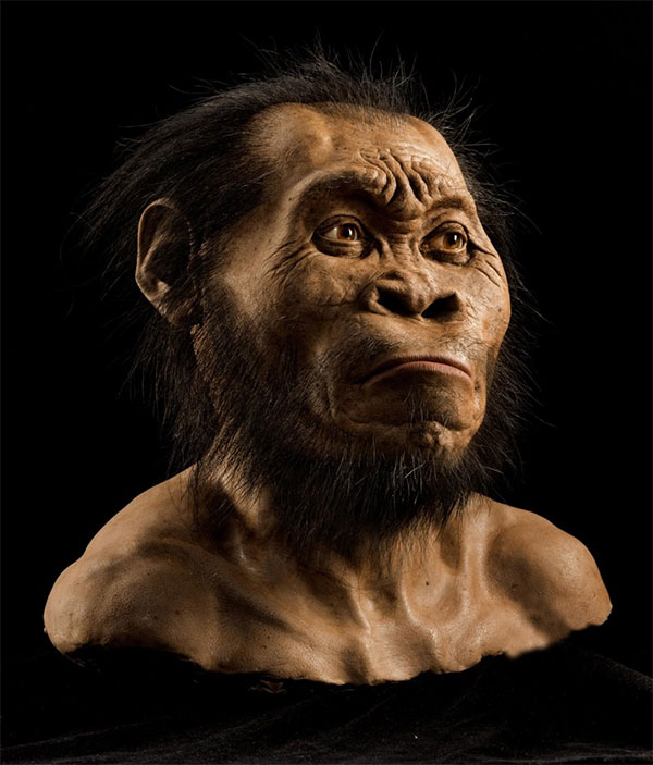 Picture 2 of The greatest scientific discoveries of 2010 (Part 1)