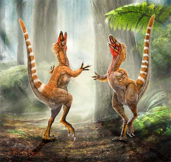 Picture 5 of The greatest scientific discoveries of 2010 (Part 1)