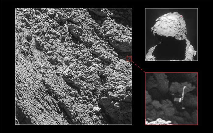 Picture 6 of The greatest scientific discoveries of 2010 (Part 1)