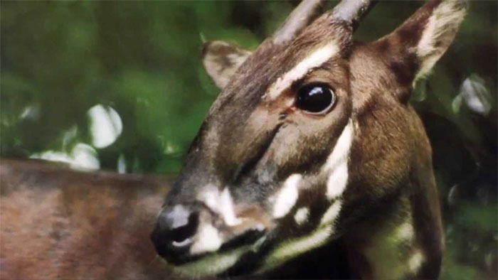 Picture 6 of The greatest scientific discoveries of 2010 (Part 2)