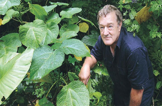 Picture 7 of The green 'killer'