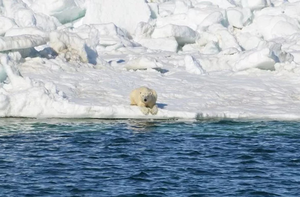 Picture 2 of The grim picture of climate change is spreading wildly on the Internet