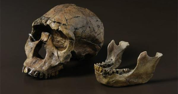 Picture 2 of The group carries the DNA of the extinct human species we never knew