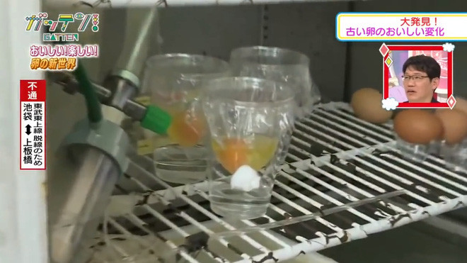 Picture 2 of The group of Japanese students successfully conducted chicken hatching experiments without shells