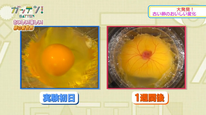 Picture 4 of The group of Japanese students successfully conducted chicken hatching experiments without shells