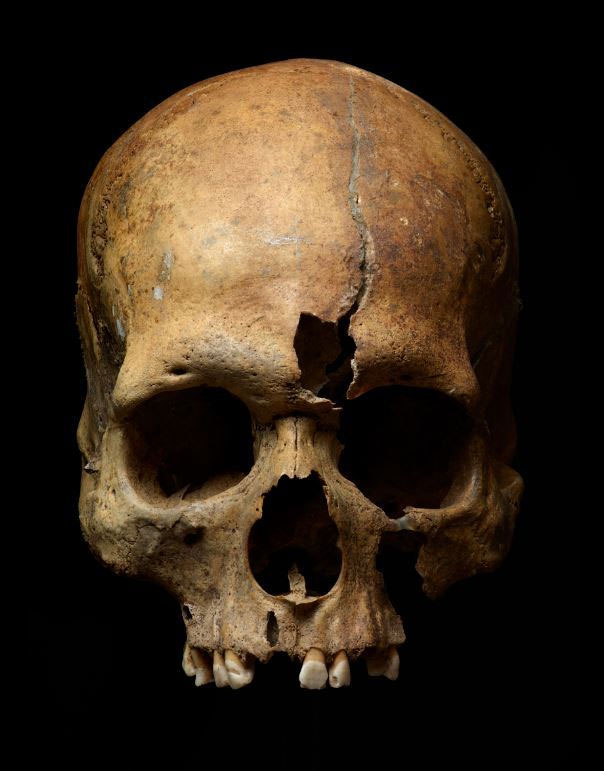 Picture 5 of The gruesome grave reveals the massacre of the Mongol army when attacking Europe