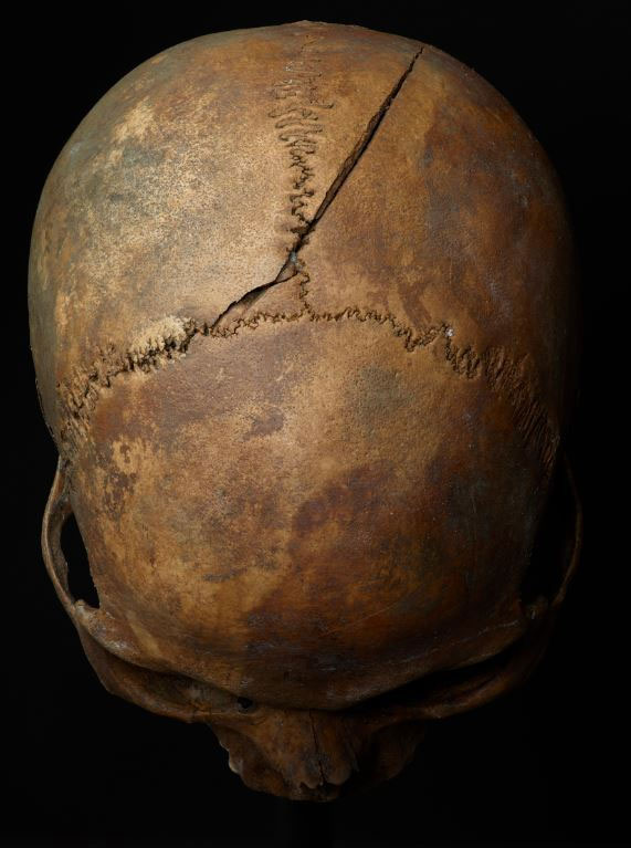 Picture 6 of The gruesome grave reveals the massacre of the Mongol army when attacking Europe