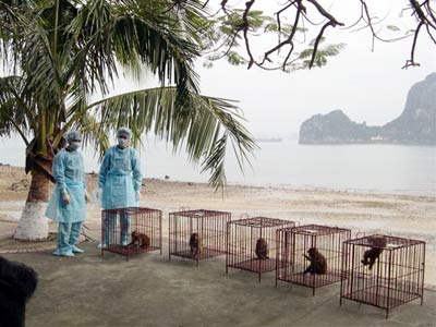 Picture 2 of The H5N1 vaccine cannot be tested on humans because ... procedure?