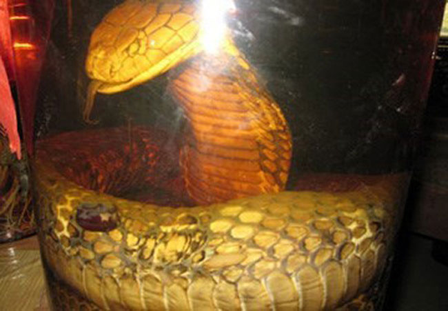 Picture 2 of The hair-raising story about giant snake