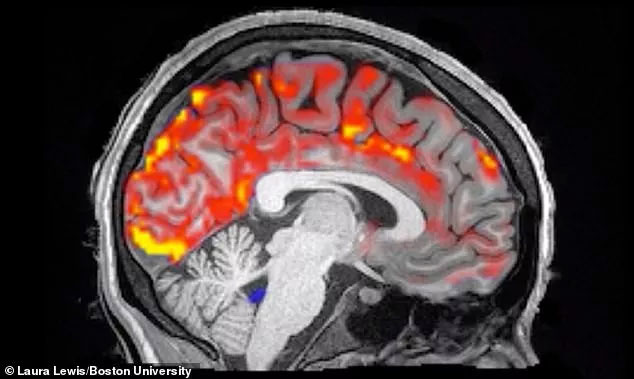 Picture 2 of The 'happy' way of removing toxins that cause incurable disease in the brain