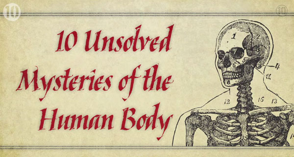 Picture 1 of The hardest secrets about the human body