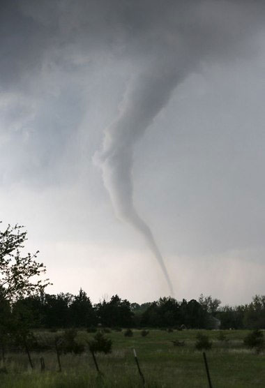 Picture 2 of The harshness of the weather in 2013